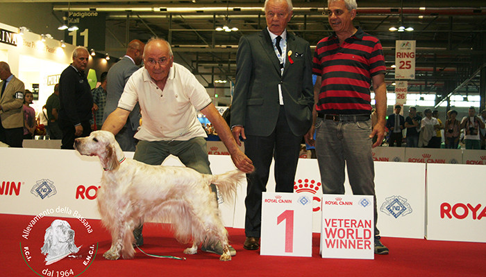 Campionessa Vetarani :: Veteran World Winner Female