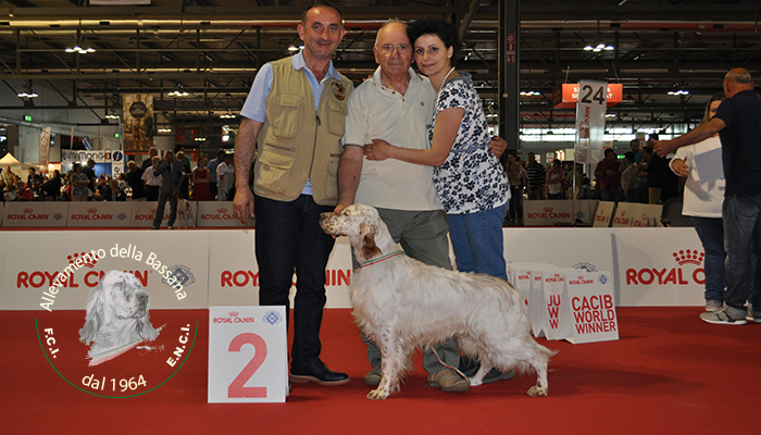 2 Ecc clasee Campioni maschi :: 1* Exc male Champion class